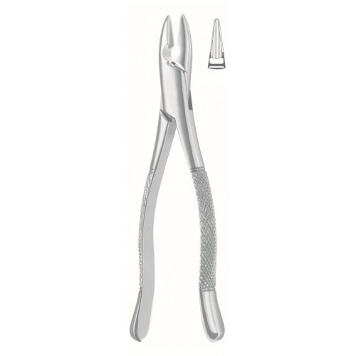 Extracting Forceps, American Pattern