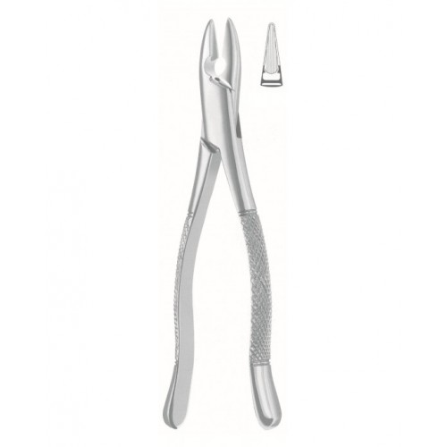 Dental Instruments